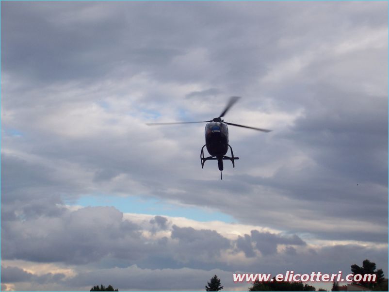 elifoto (12)